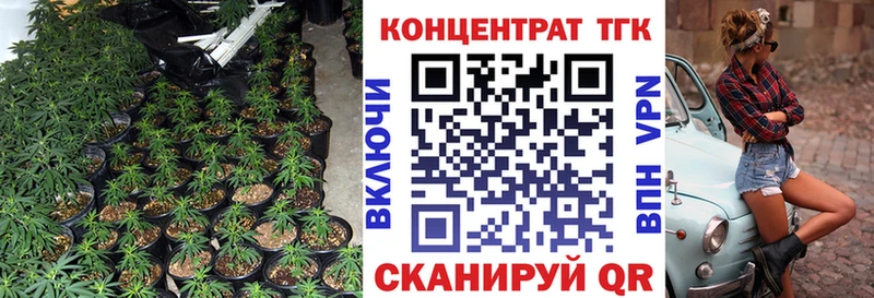 дарк нет телеграм Хотьково Дистиллят ТГК вейп сколько стоит