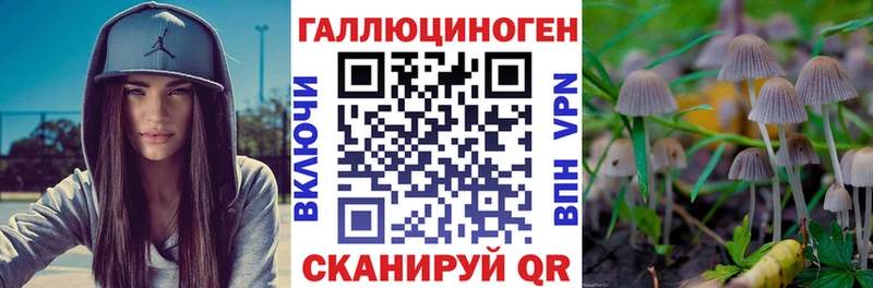 где найти наркотики  Хотьково  Псилоцибиновые грибы мицелий 
